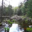 Beaver Dam