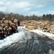 The Log Yard